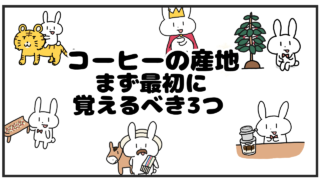 コーヒーの産地｜産地の特徴を覚えるのは大変。まずは3つ。そのあと5つ。